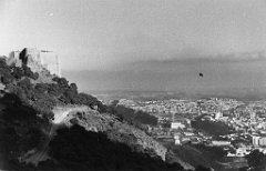 ORAN 02334